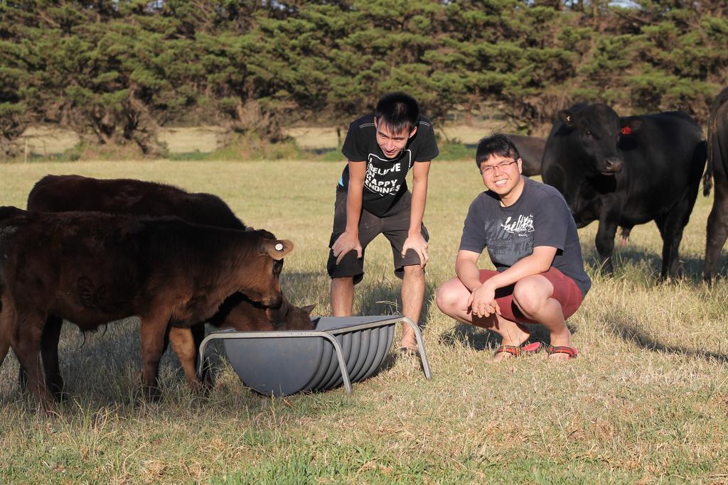 Bimbadeen Phillip Island Farm Retreats Ventnor Eksteriør bilde