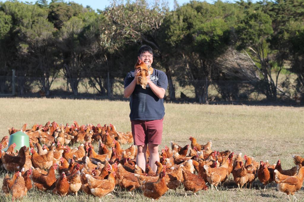Bimbadeen Phillip Island Farm Retreats Ventnor Eksteriør bilde